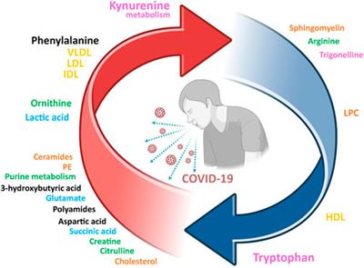 Metabolomics as a powerful tool for diagnostic, pronostic and drug intervention analysis in COVID-19